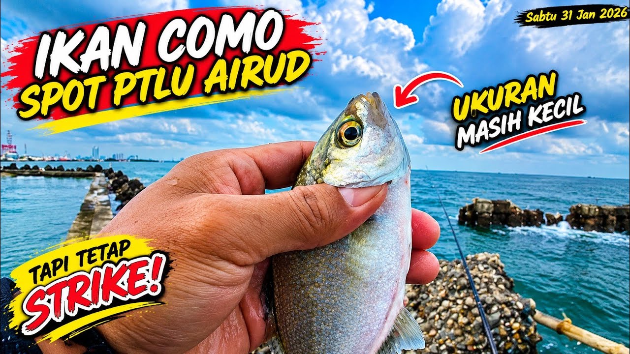 SPOT MANCING PLTU AIRUD ANCOL VIA BAHTERAJAYA