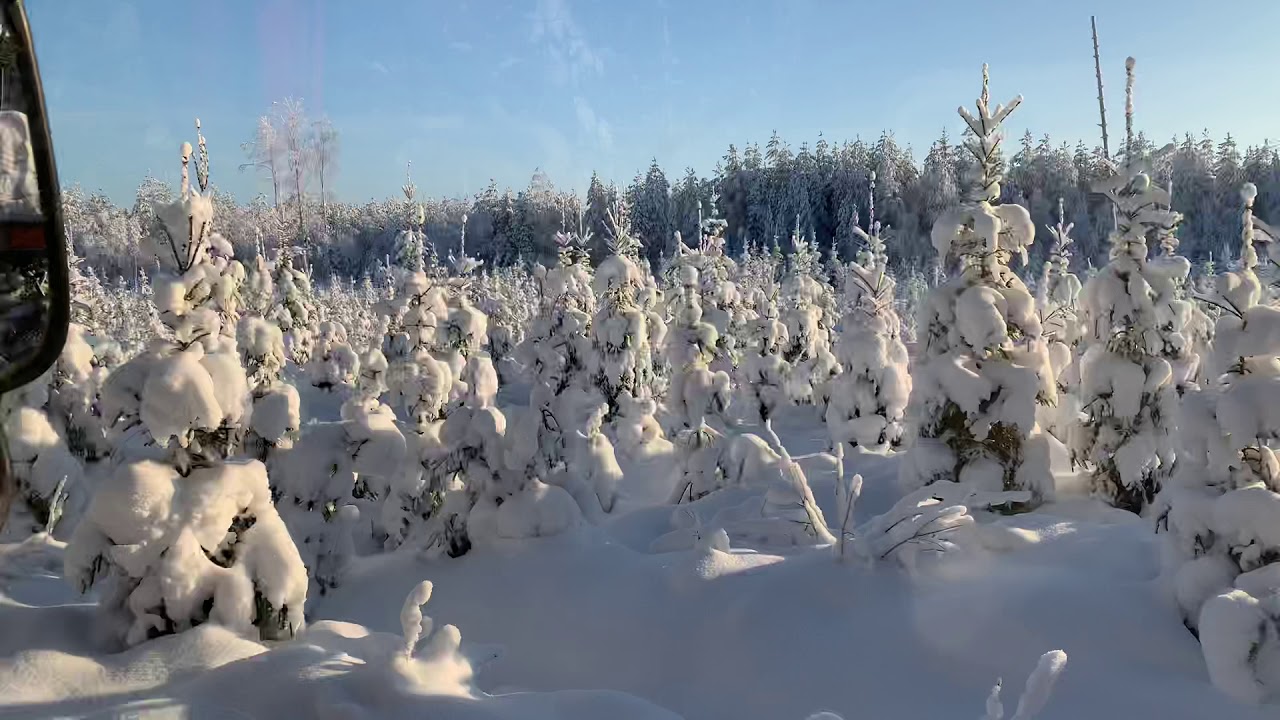 Winter 2019 in Vimpeli