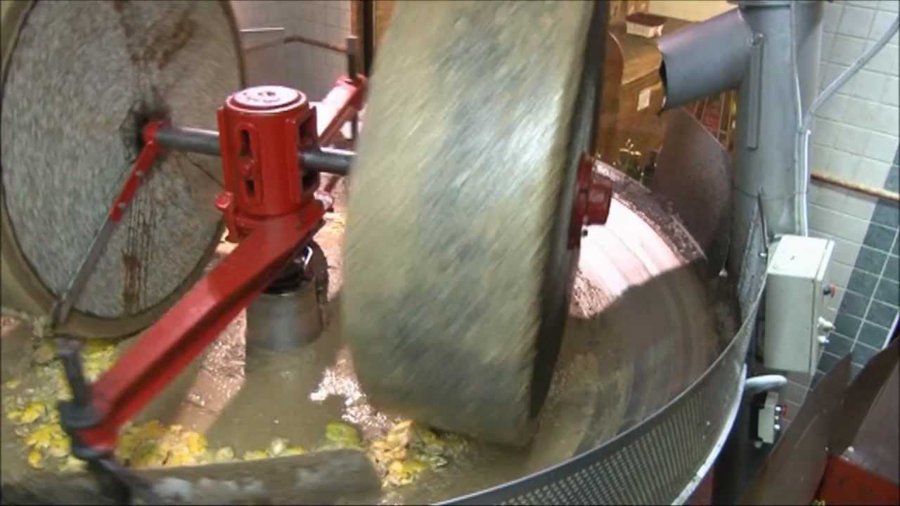 Frantoio Veronesi | Produzione dell'Olio Extra Vergine di Oliva