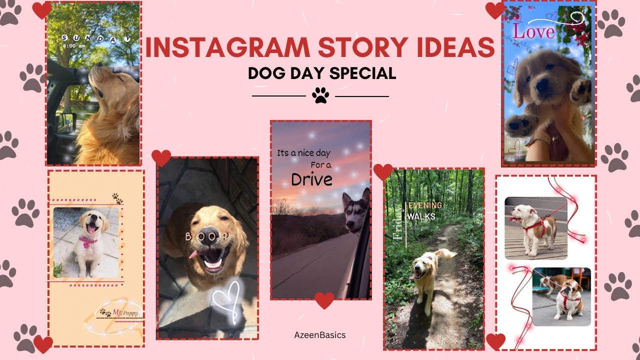 Happy International Dog Day 🐶 | Instagram Story Ideas Dogs Special | Azeenbasics