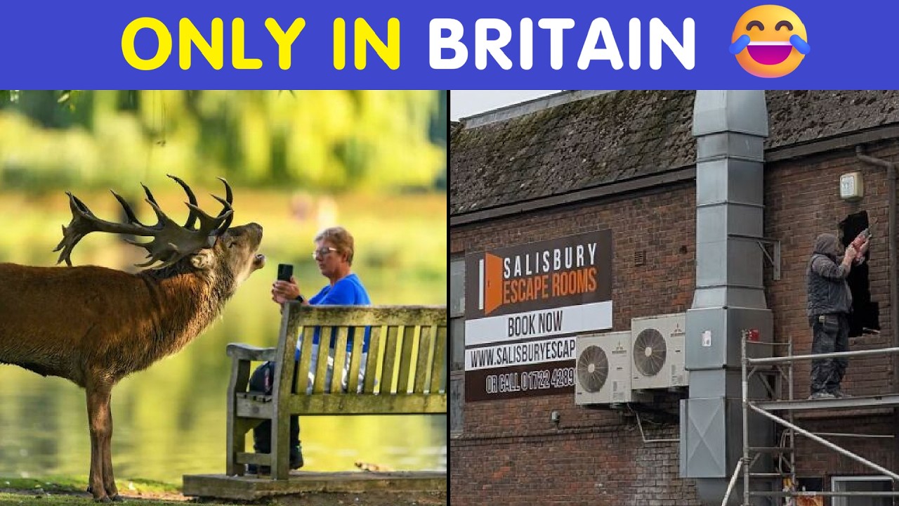 Crazy British Daily Pics That Are Too Funny to Miss 😂