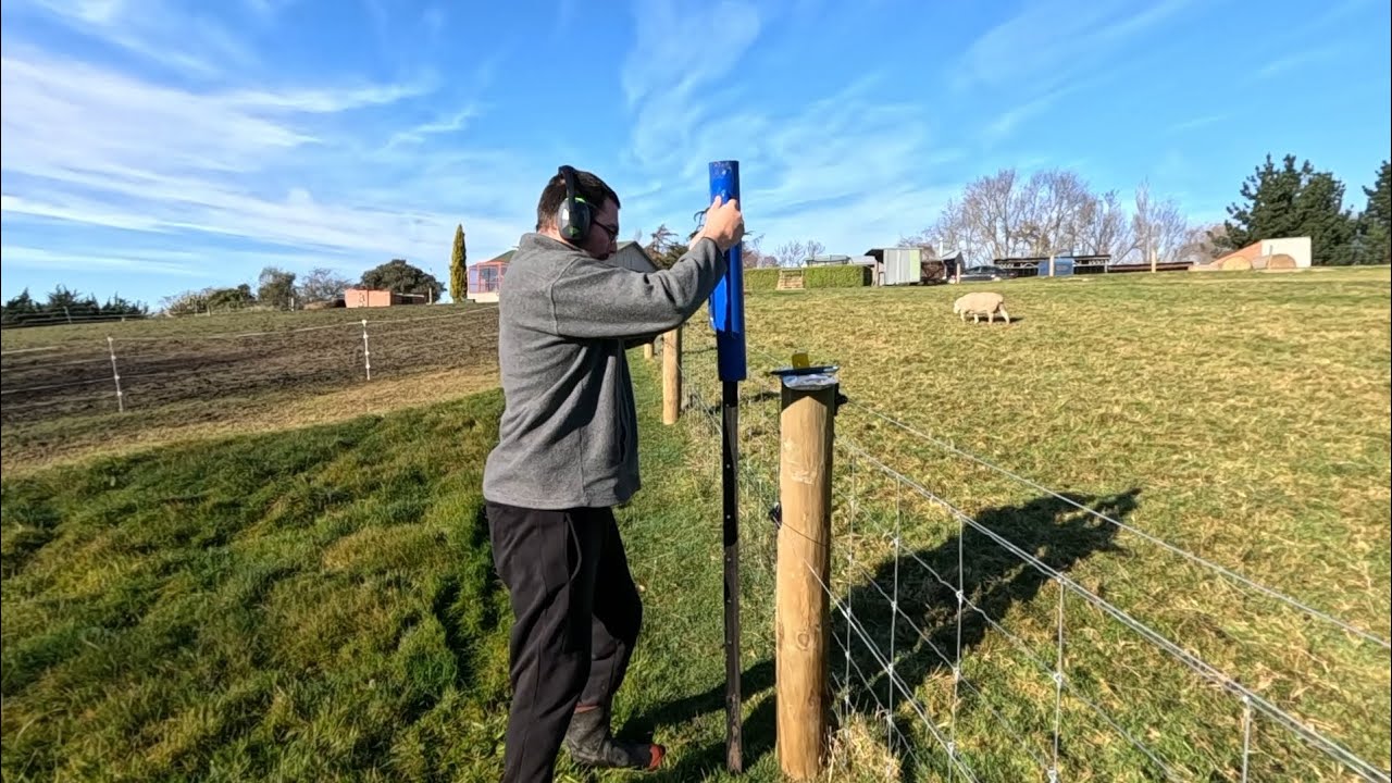 Caring For Our Animals & Maintenance On Our 7 Acre Lifestyle Block In NZ