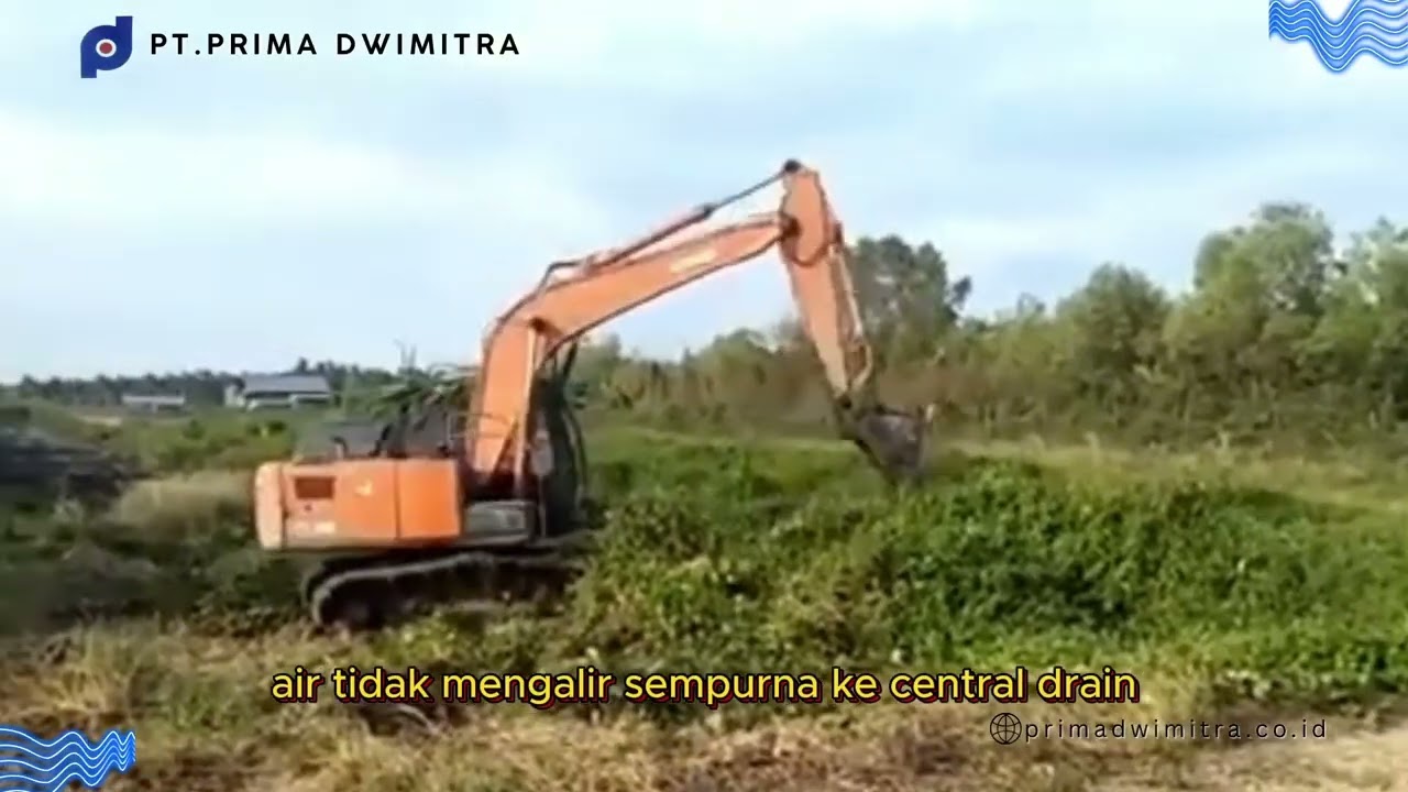 Tahap Awal Pembuatan Tambak Udang yang Benar | Hindari Kerugian Besar