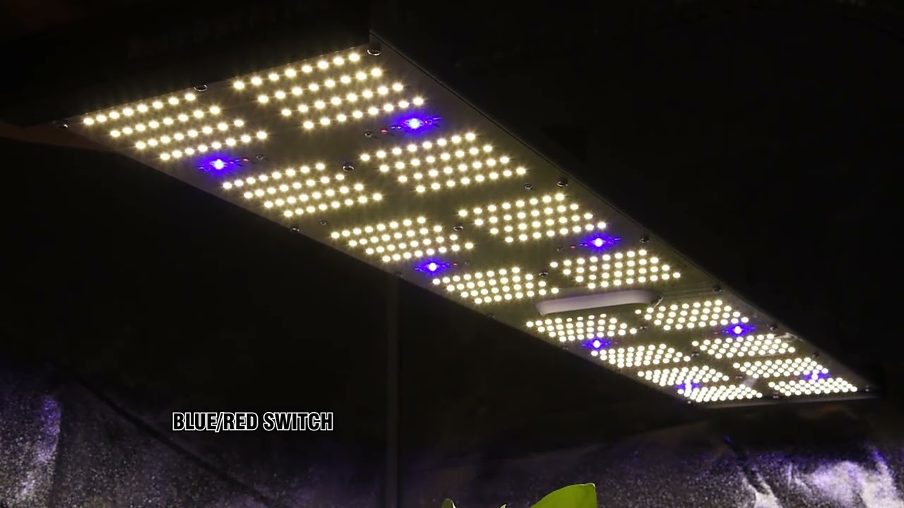 240w monster board pro from Geeklight for indoor plants grow