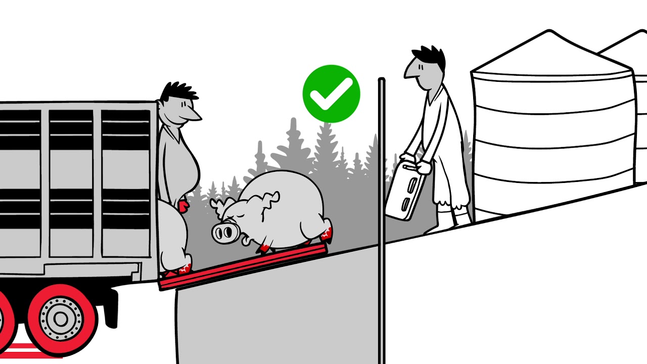 Farm biosecurity #2 - Loading bays