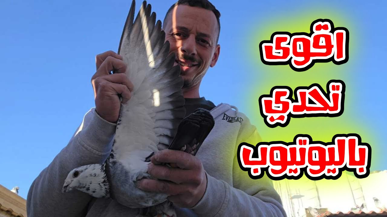 اقوى تحدي باليوتيوب تحدي على 14 طير قطعه وحده شو التحدي ؟؟؟