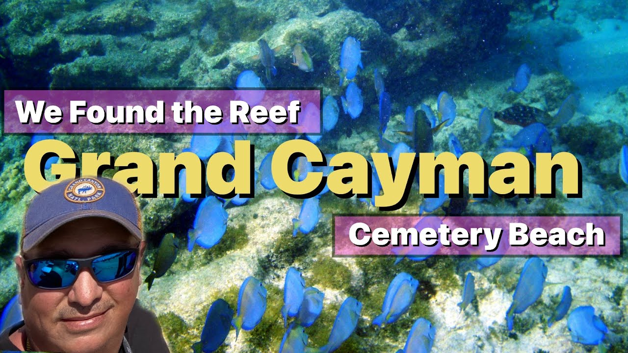 Discover The Astonishing Snorkeling Experience At Grand Cayman's Cemetery Beach!