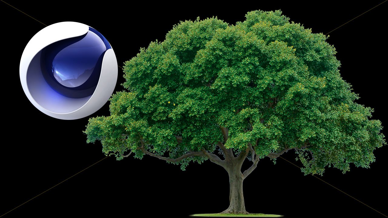 Cinema 4D: How to Grow a Tree part 1