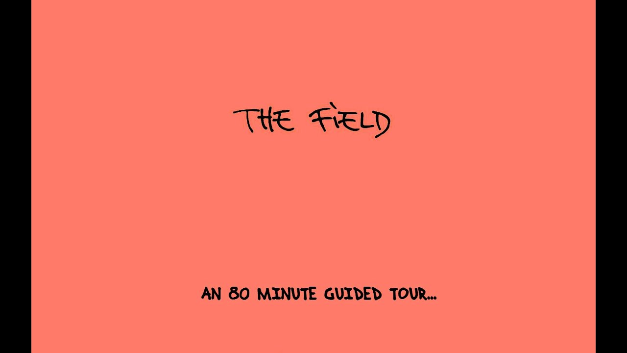 Mix 3: The Field - 2007-2013 