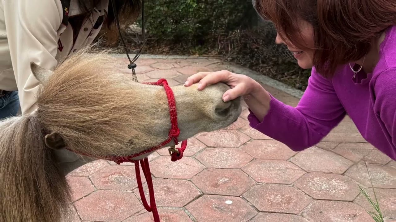 Romeo Roadshow visits Camarillo Health Care District