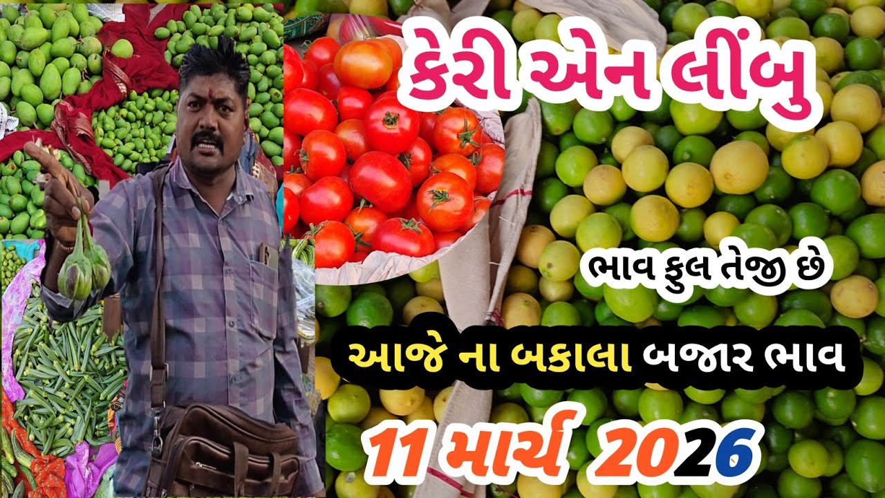 11 March 2026 .કેરી બજાર ભાવ ફુલ તેજી છે | રીંગણ એન લીંબુ 🍋 ભાવ વધારો | તળાજા માર્કેટ યાર્ડ 