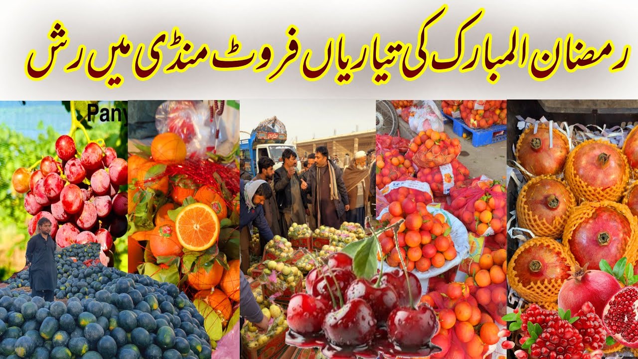 Ramadan Kareem Fruits Prices Vlogs | Fresh Fruits Update Islamabad | Daily Mayar Vlogs |