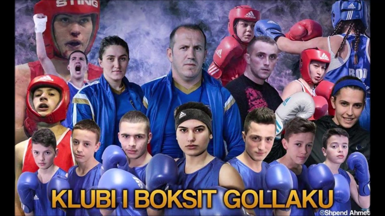 Box Gollaku - Highlights