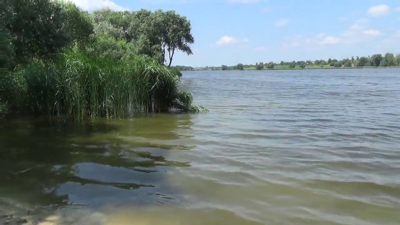 Ставок в с. К.Гребля, Сквирський район