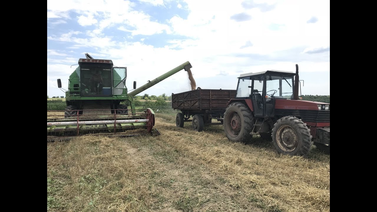 CLAAS Dominator 96 La Treierat De GRAU 2018