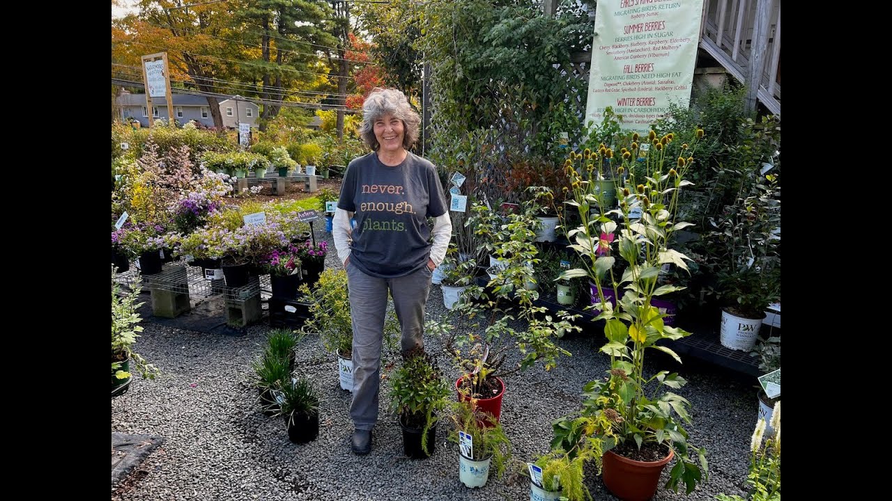 Beef Up Color in Your Fall Garden