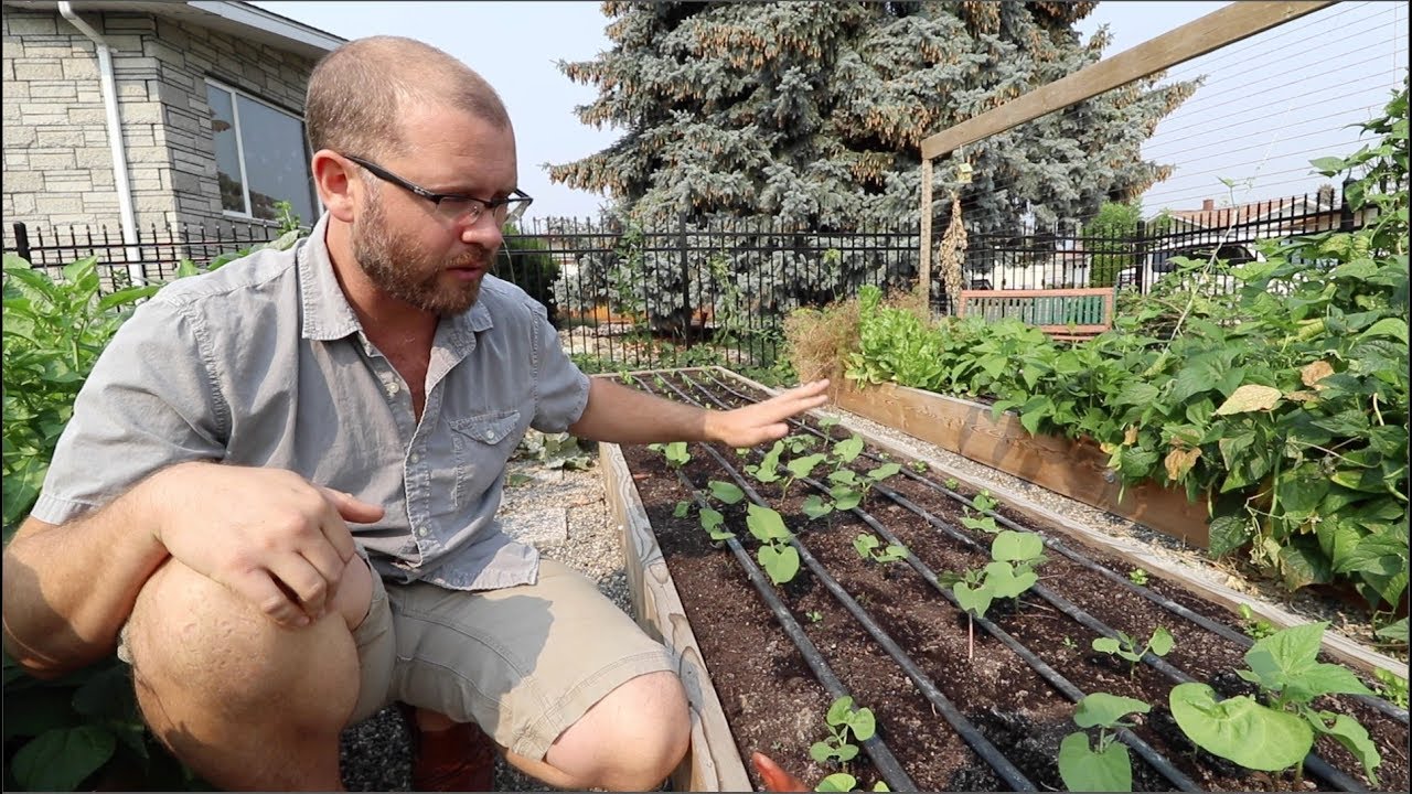 How I maximize the productive space in my garden