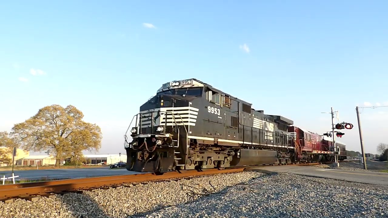NS 9953 Leads 