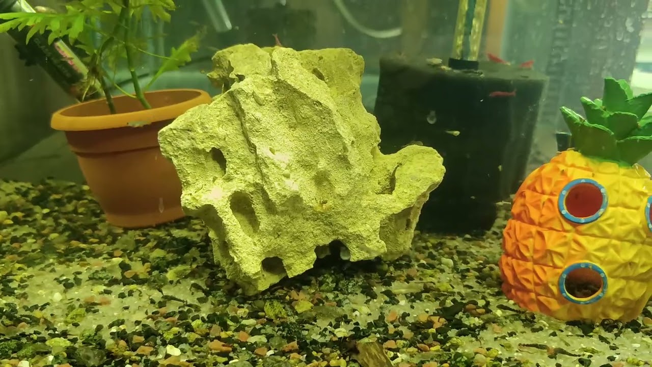 Аквариумы в квартире. Усиливаю фильтрацию воды. Обзор. 