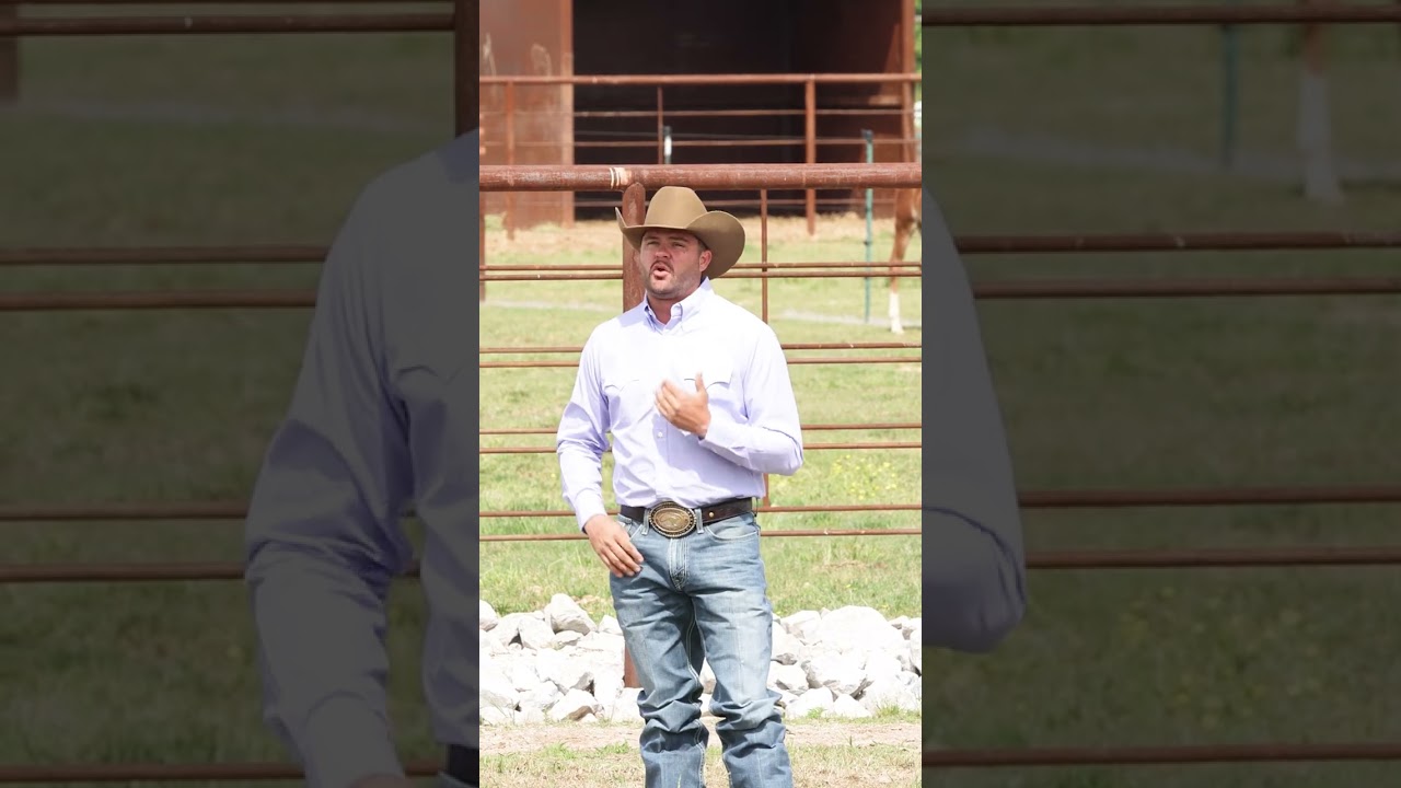 Упражнение &laquo;Лист клевера&raquo; помогает развить управляемость лошади.