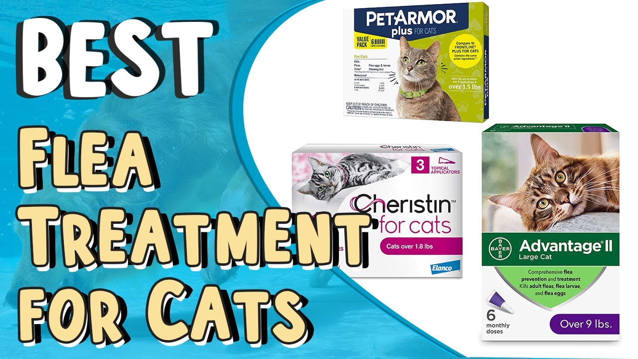 Top 5 Best Flea Treatment for Cats _ Best Flea Medicine for Cats Without Vet Prescription,