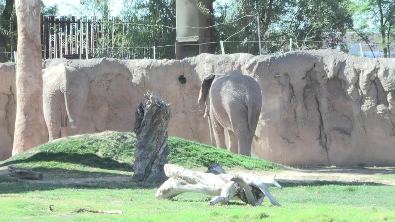Read Across America at The Reid Park Zoo