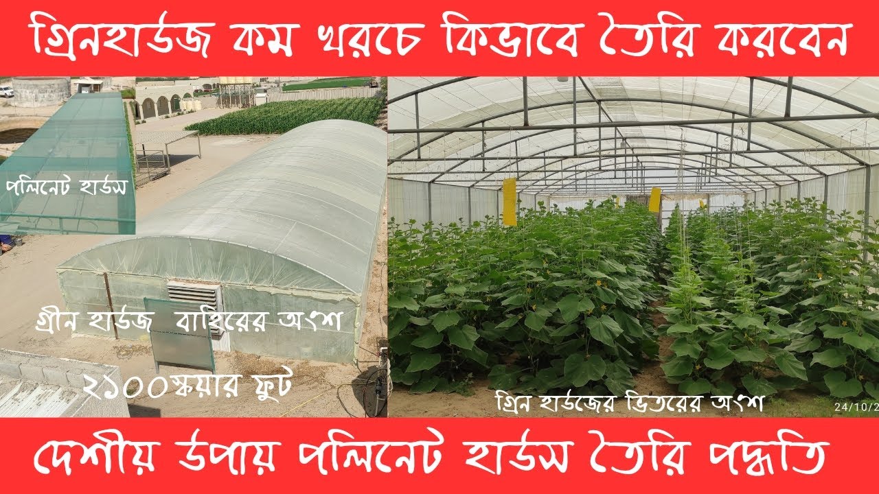 গ্রিনহাউজ কম খরচে কিভাবে তৈরি করবেন। দেশীয় উপায় পলিনেট হাউস তৈরি পদ্ধতি