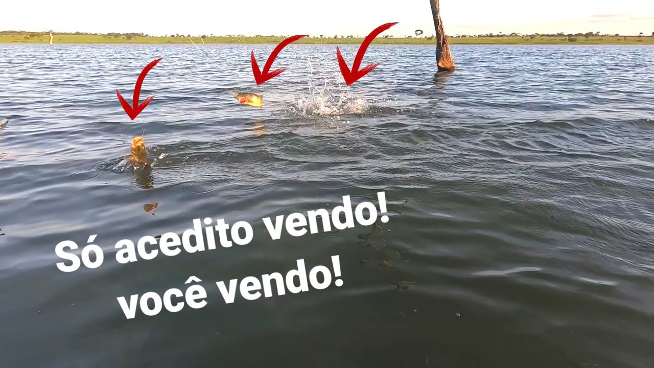 Tem que ver pra acreditar, isso so se vê quando é  gravado 