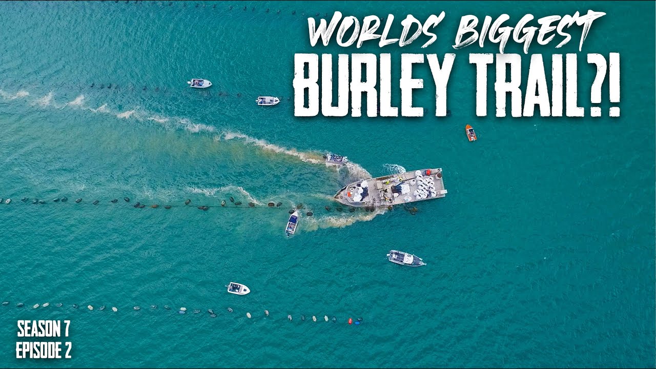 Big Snapper from the Mussel Farms S7 EP2 - Firth of Thames