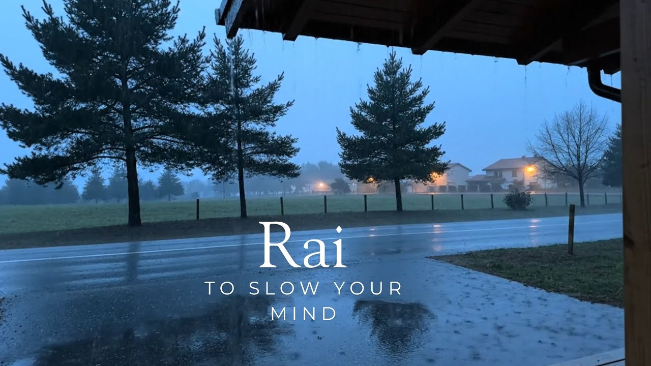 Peaceful Forest Rain  Natural Rain Sounds for Focus, Relaxation Sleep