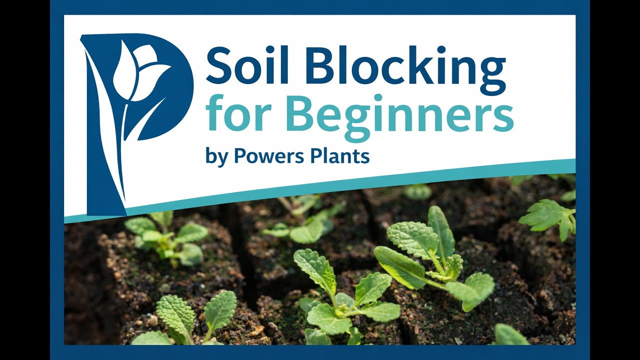 Seed Starting With Soil Blocks