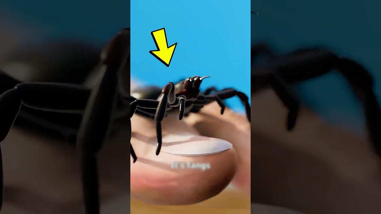 If You Ever Get Bitten by a Spider, Do THIS Immediately (Don&rsquo;t Panic or Try to Be Spider-Man)!? 😁