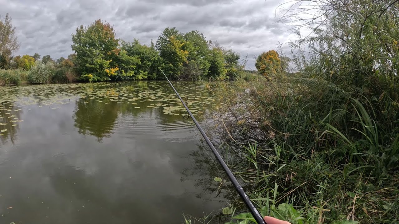 Lov &Scaron;TIK na plavanou, n&aacute;vrat do dětsk&yacute; let.