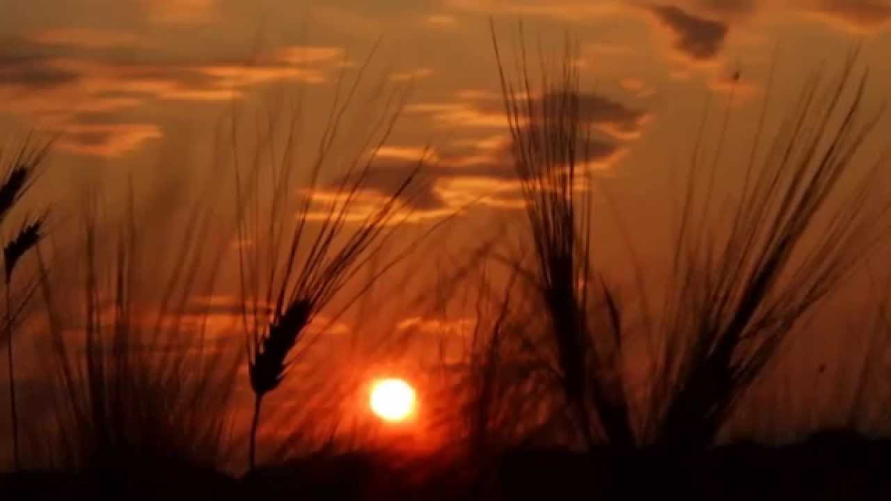 Fields of gold (Sting) - Duo Balance