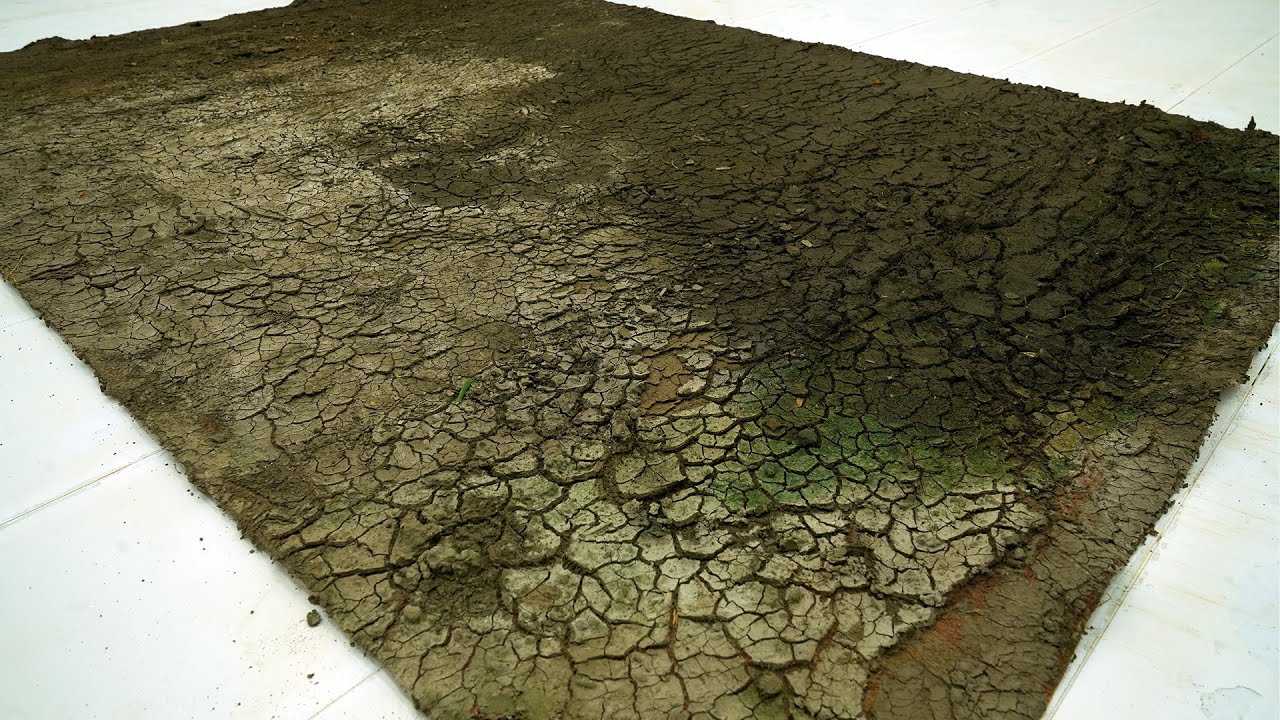 From Cracked Dirt to Pure Beauty - The Most Satisfying Rug Cleaning You’ll Ever See!