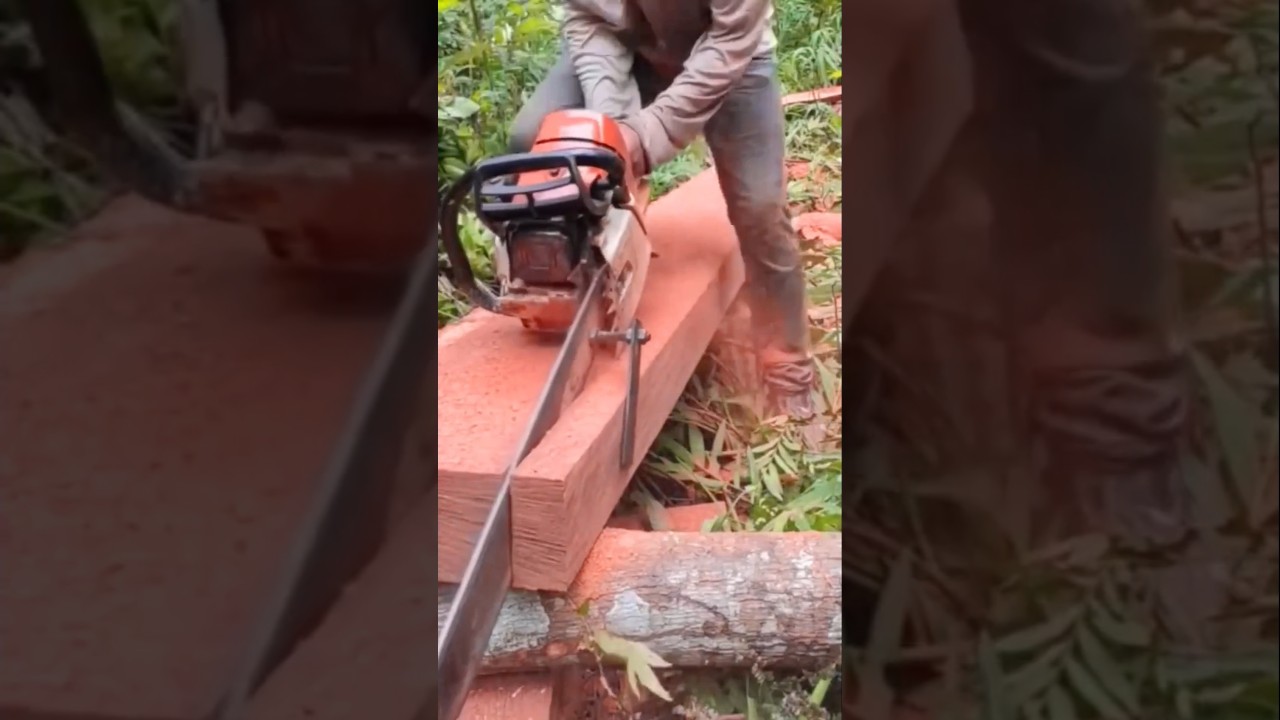 cara cerdas membelah kayu menggunakan chainsaw. #shorts #short #kayu #chainsaw
