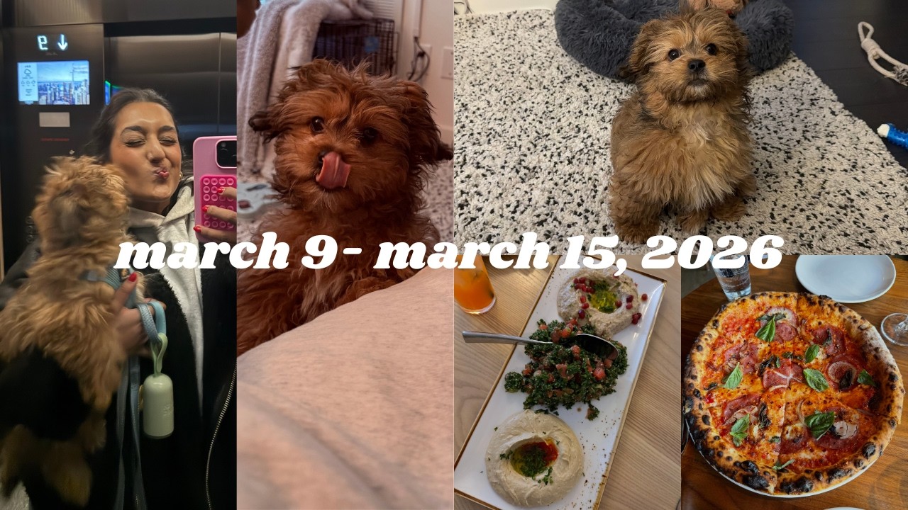 Ricky: weekly vlog | back to routine + puppy sitting filo!