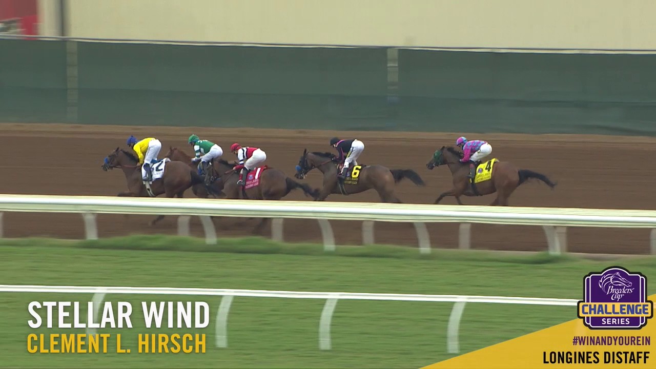 2017 Clement L. Hirsch - Stellar Wind