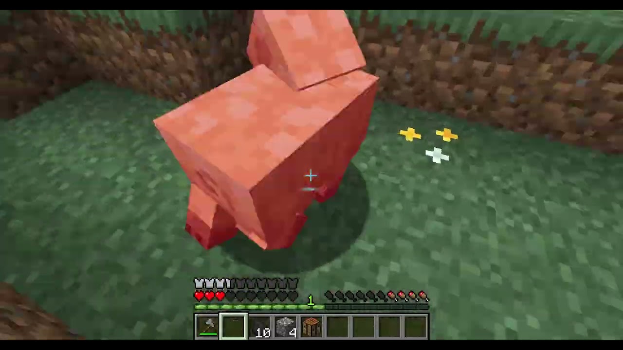 играю в майн с модом