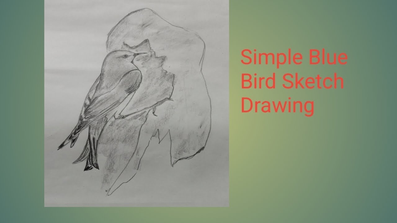 @Simple Blue Bird Sketch Drawing | Easy Pencil Bird Drawing for Beginners