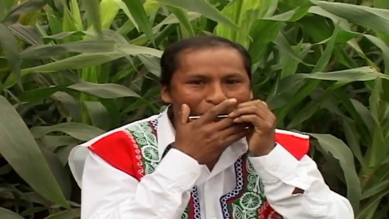 FLOR DE VILCANOTA / SILENCIO HUAYQ'OPÍ