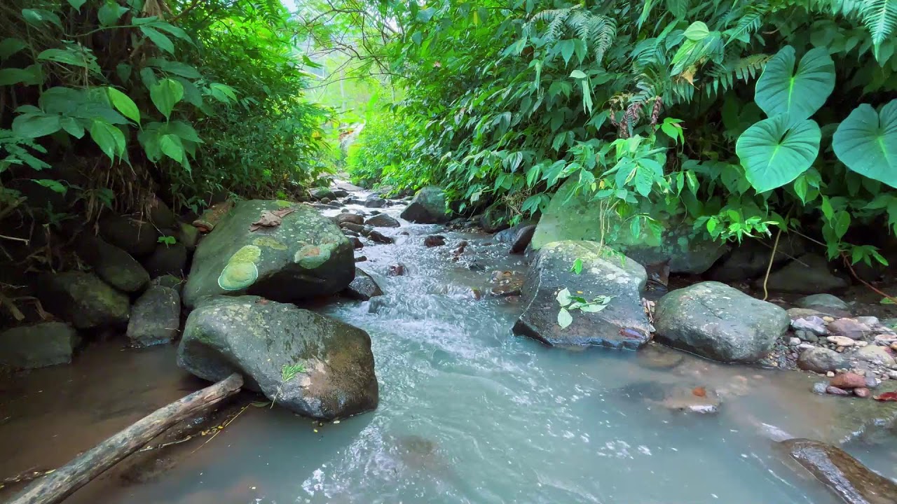 No Music - Constant Natural Water Sounds for 10 Hours
