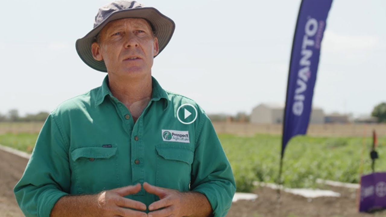 Sivanto® Prime Insecticide | For Control of Sucking Pests | 3:13