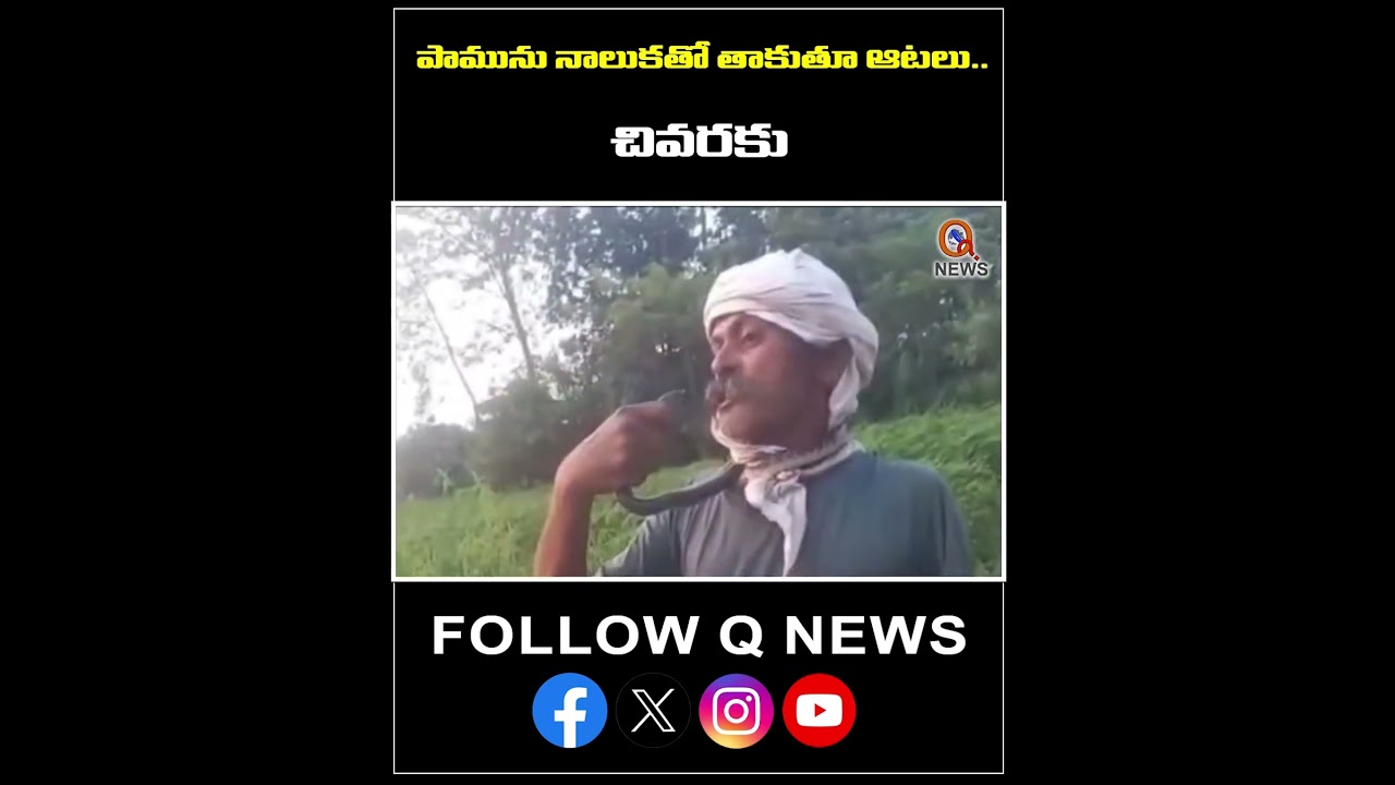 పామును నాలుకతో తాకుతూ ఆటలు.. చివరకు. #NEWS #mlcteenmarmallanna #snake #snakebite #shorts #health