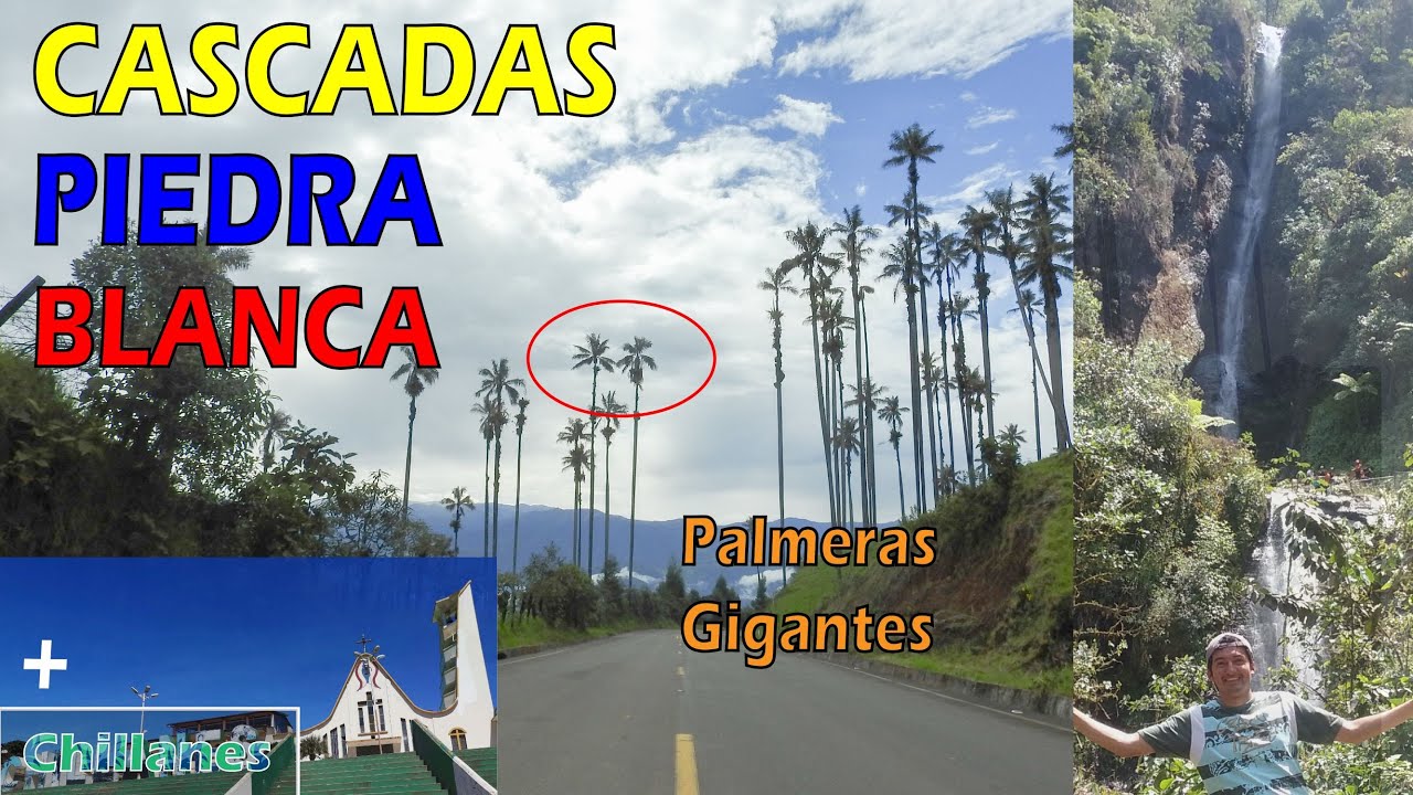 Cascadas LA MIRÁN / PIEDRA BLANCA / PALMERAS GIGANTES / Chillanes - Bucay / Ecuador