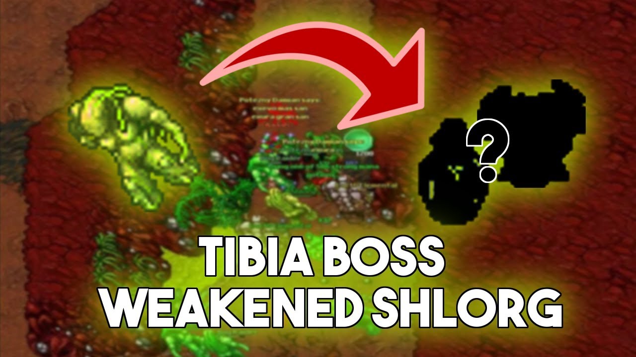 [PL] Tibia Boss | Weakened Shlorg (Edron Earth Elemental Cave)
