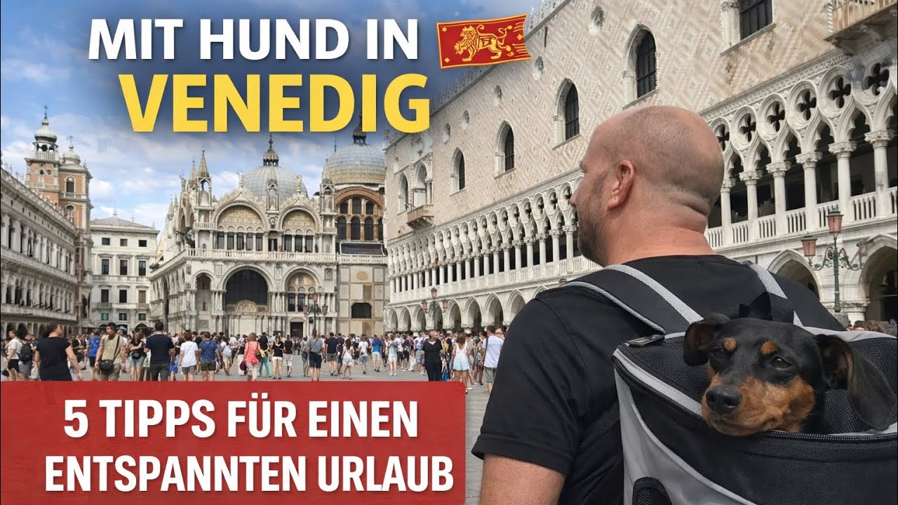 5 Tipps zum entspannten Aufenthalt mit Hund in Venedig