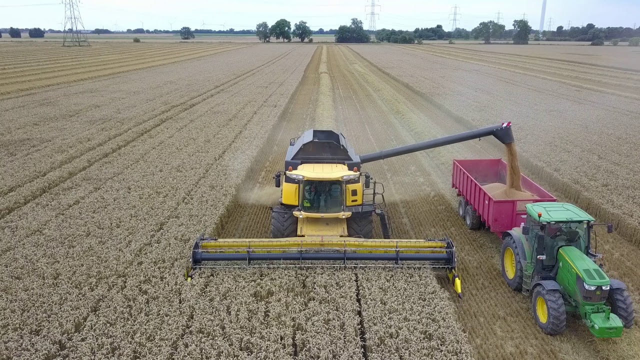 Combine New Holland CR 980 at work