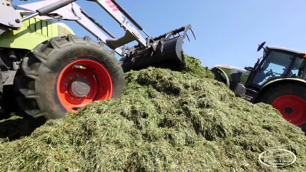 R&eacute;alisation Films Vid&eacute;o Agriculture  ensilage Ray-Grass Italien ensileuse CLAAS Jaguar 940
