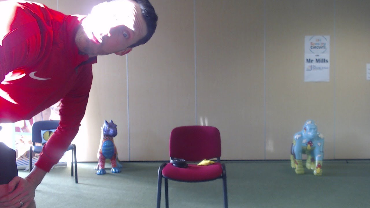 Sensory Circuit 85
